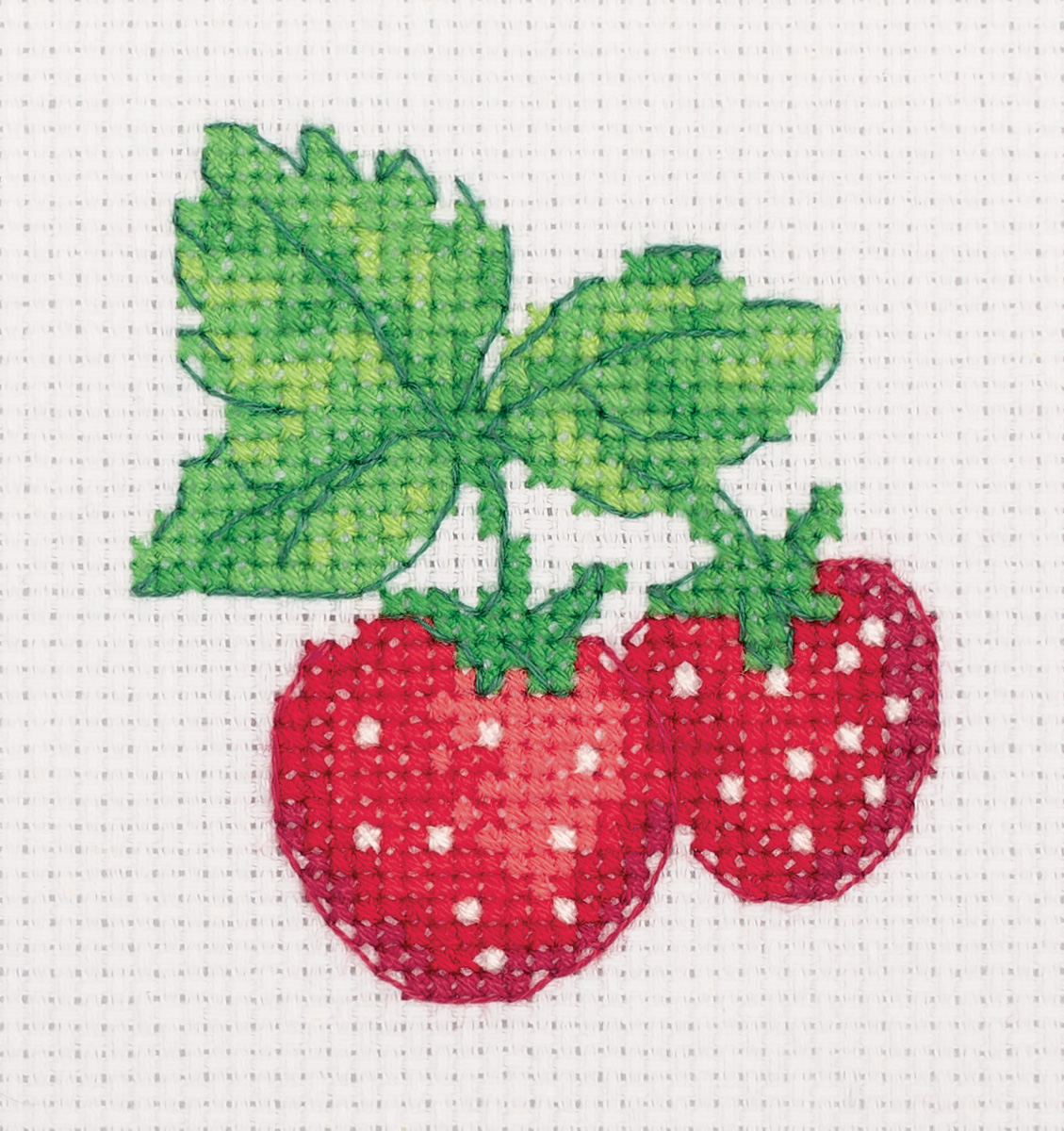 Strawberry Kid Beginner Modern Counted Cross Stitch Kit – Spot Colors
