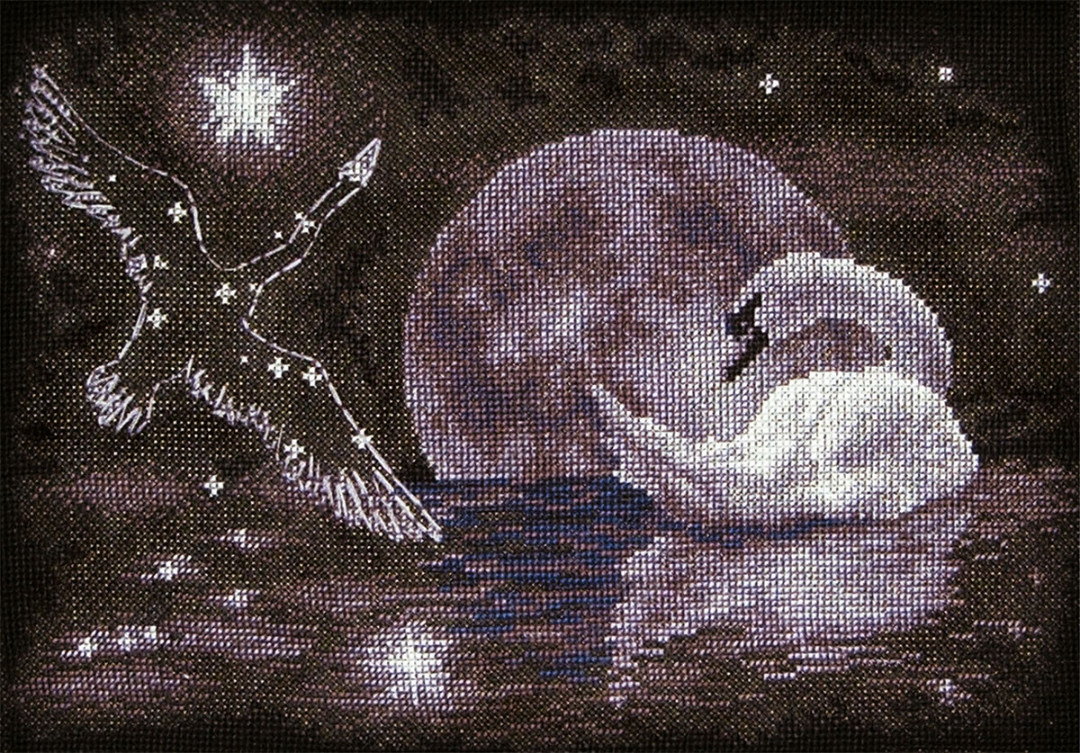 Embroidery kits PANNA PT-0631 Moon Swan 