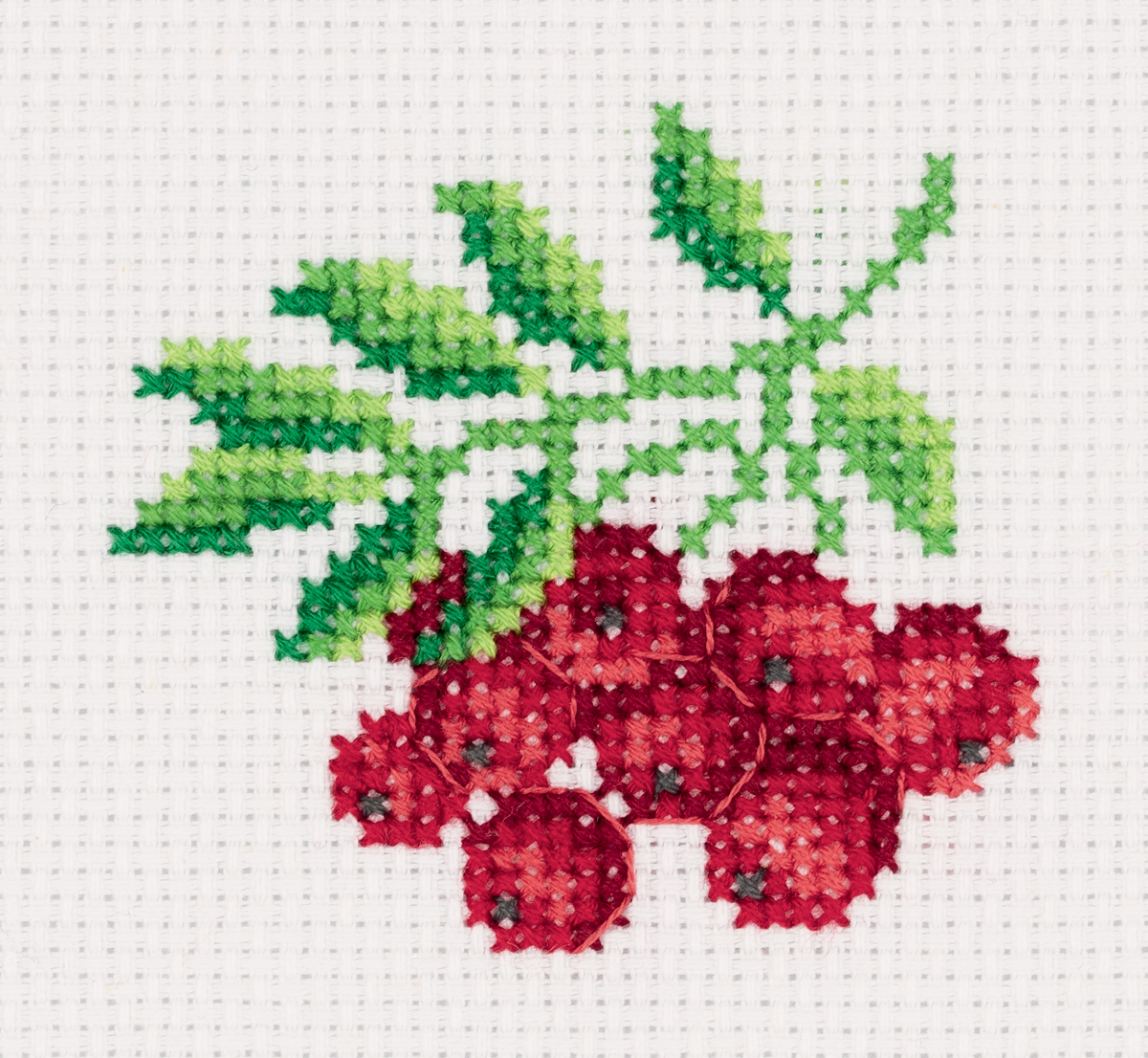 Embroidery kits PANNA 12-041 Ashberry 